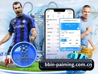 BBIN体育 APP 界面