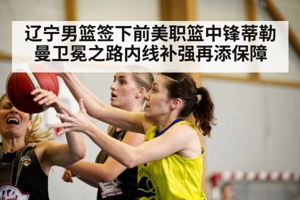 辽宁男篮签下前美职篮中锋蒂勒曼卫冕之路内线补强再添保障